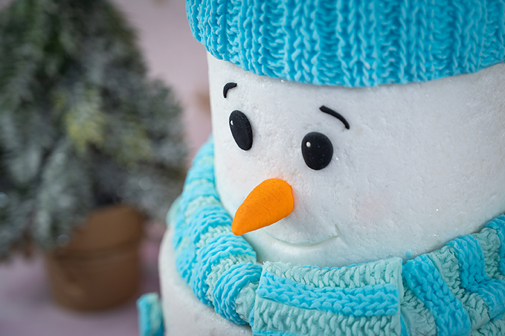 Chunky Rib Silicone Mould