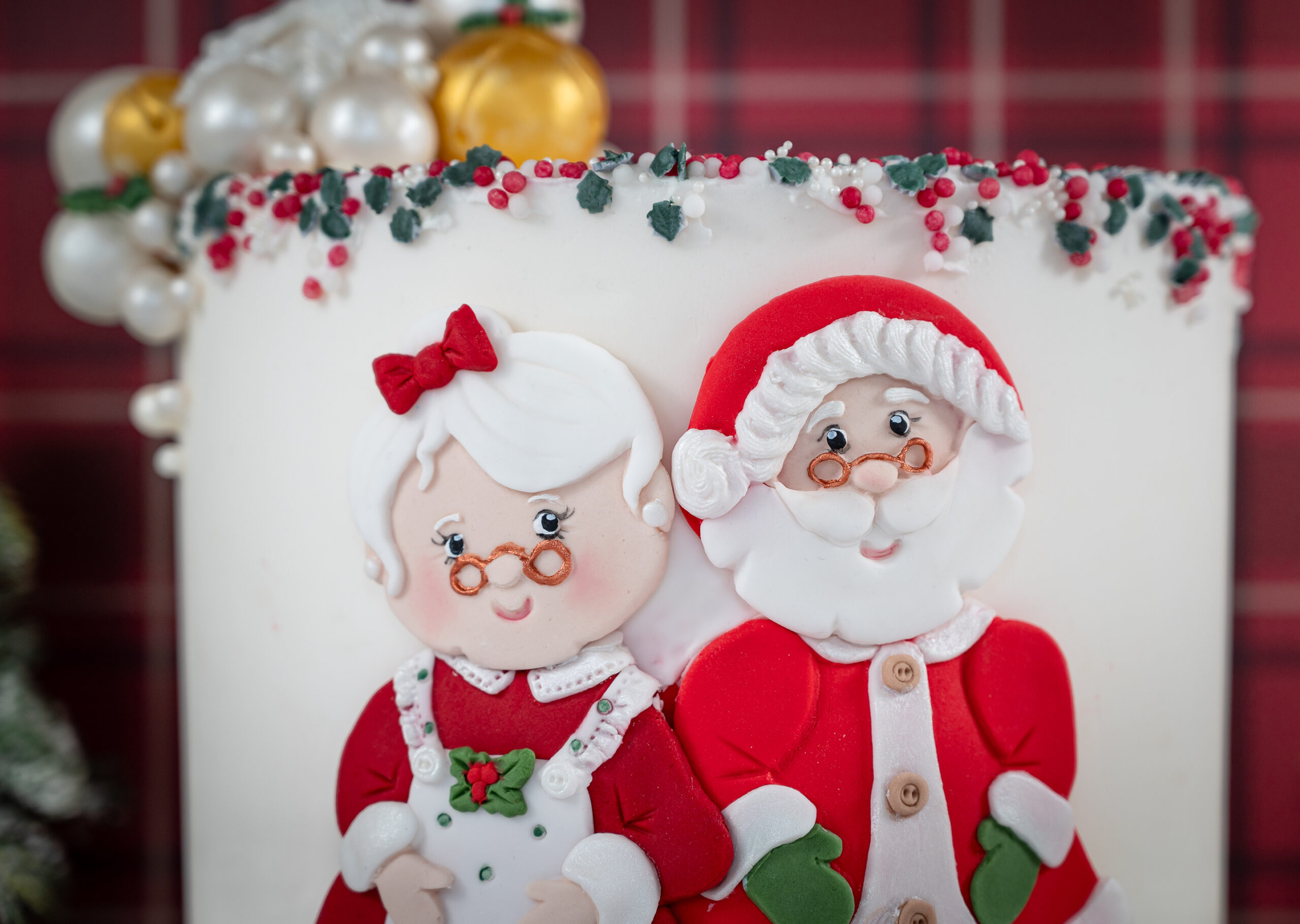 Mrs Claus Silicone Mould