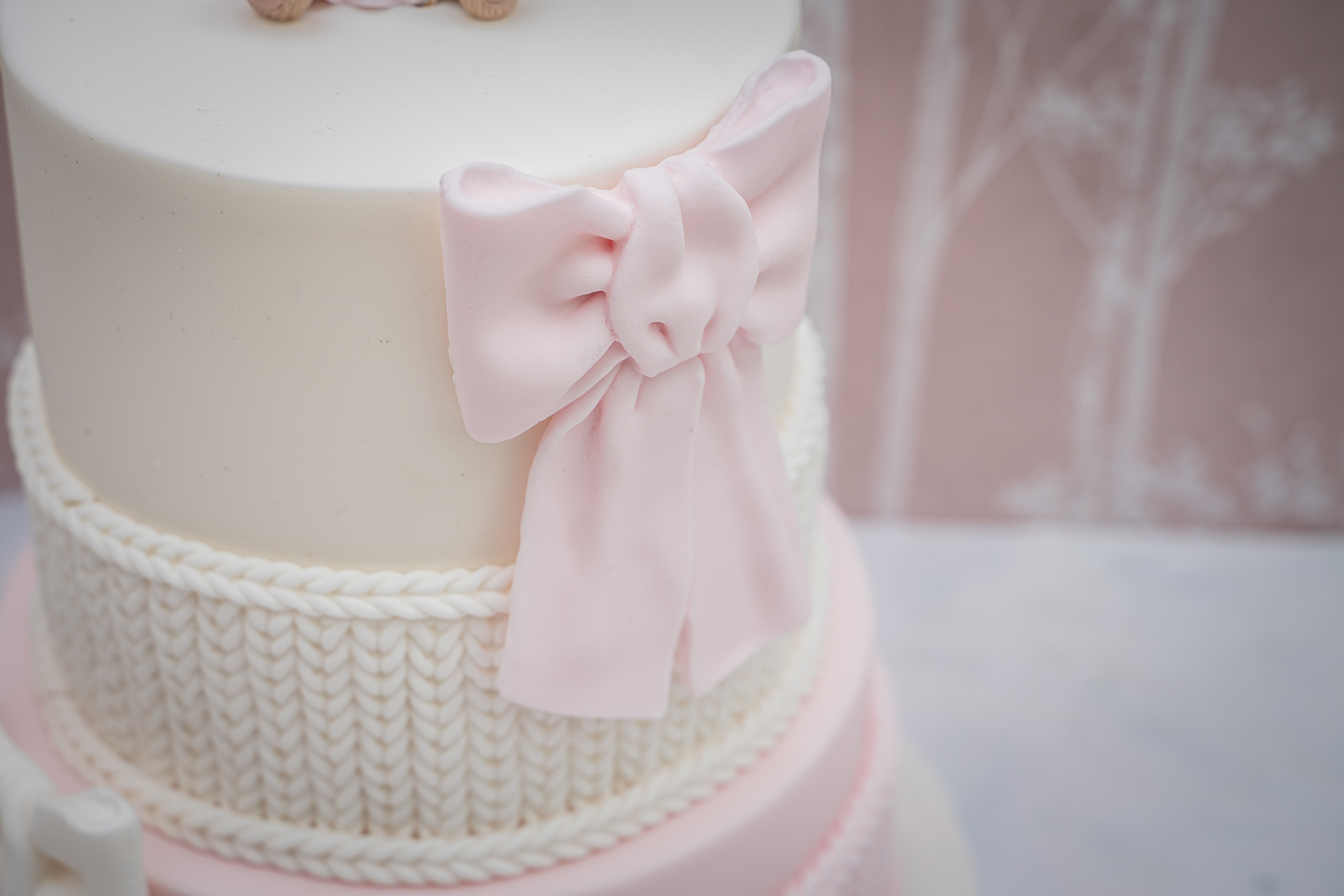 Large Bow Silicone Mould