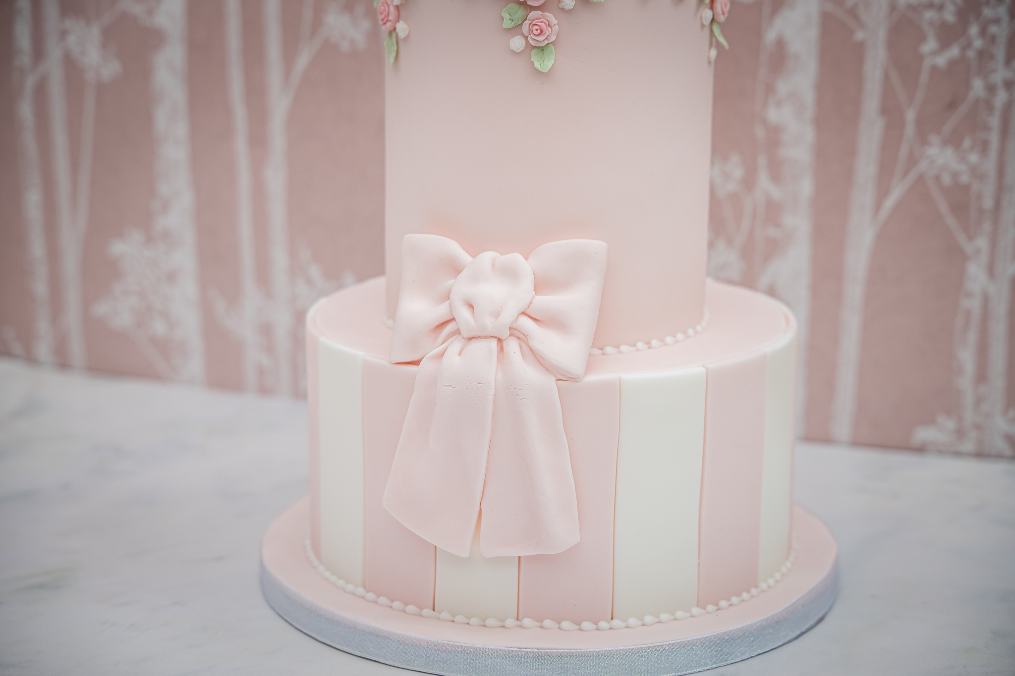 Large Bow Silicone Mould