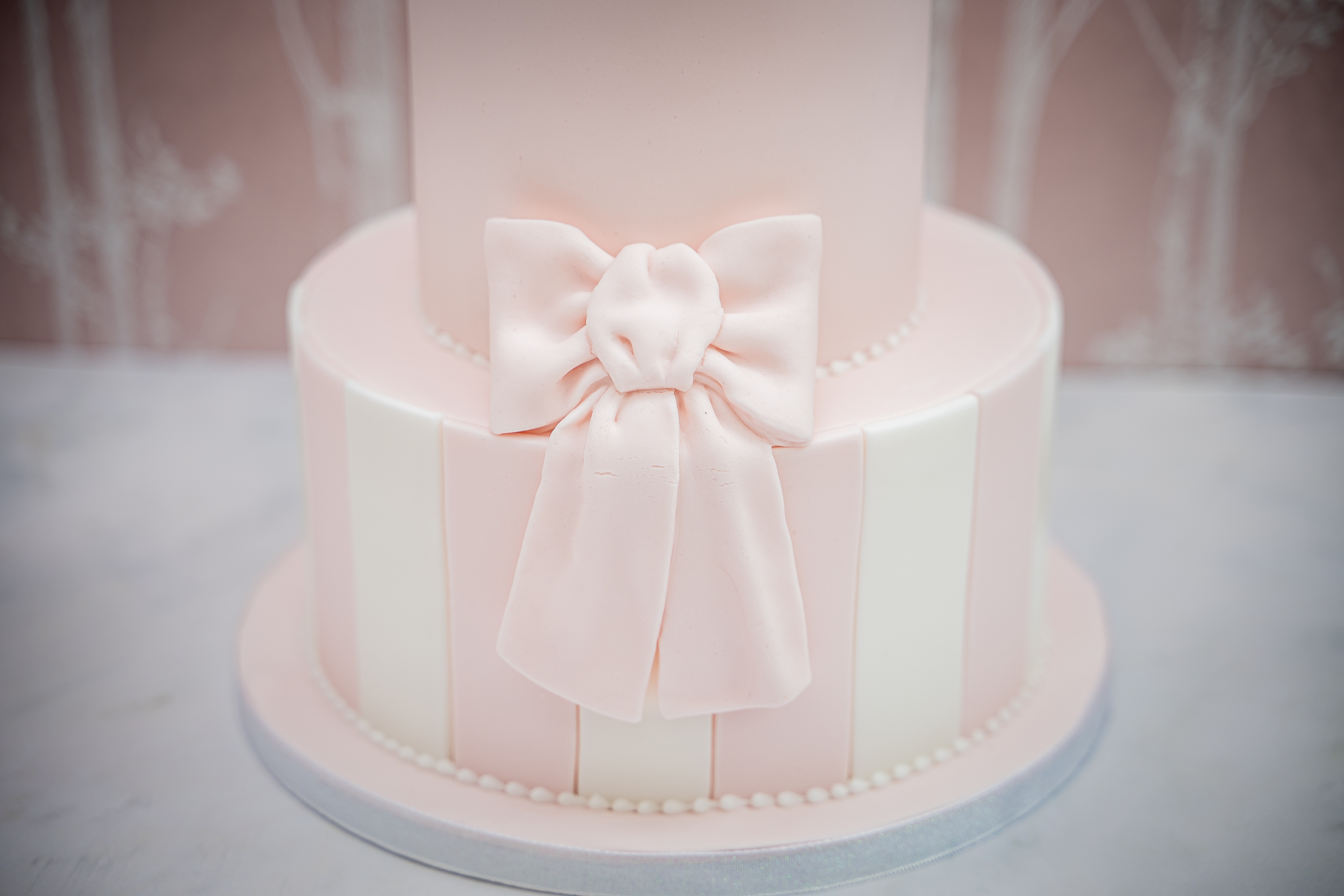 Large Bow Silicone Mould