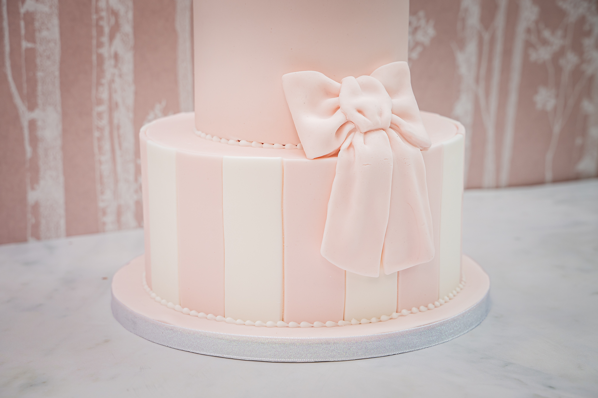 Large Bow Silicone Mould