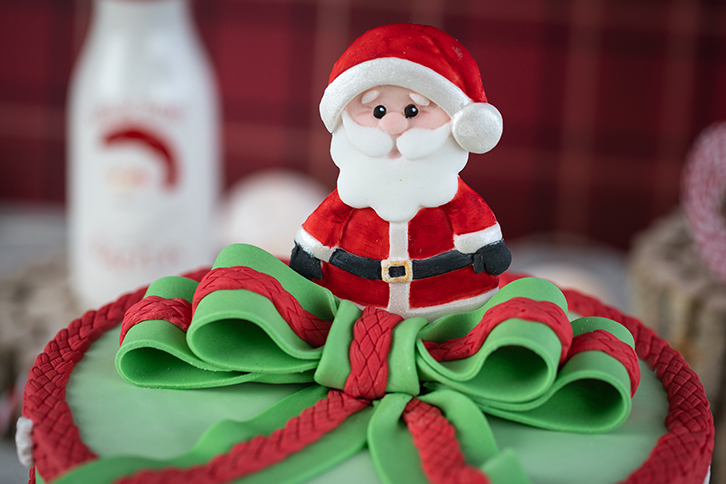 Christmas Cookie Silicone Mould