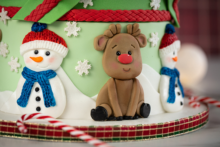 Christmas Cookie Silicone Mould