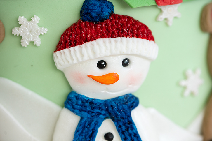 Christmas Cookie Silicone Mould