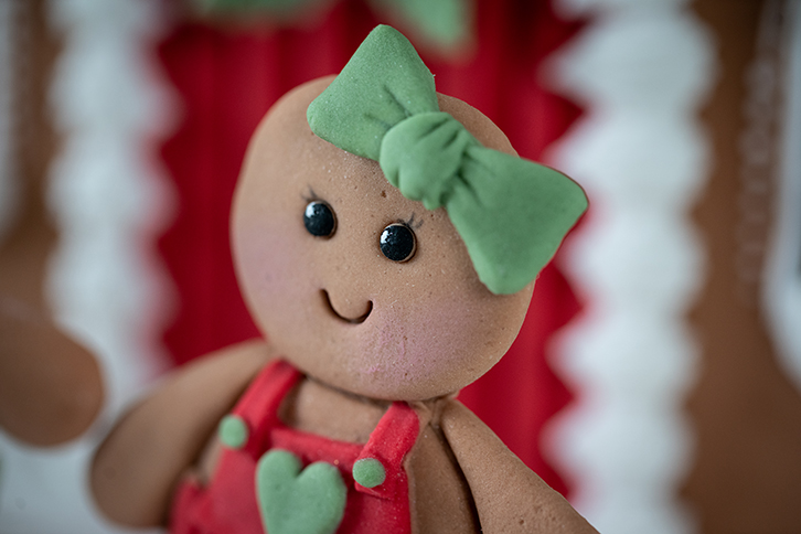 Gingerbread Cookie Silicone Mould