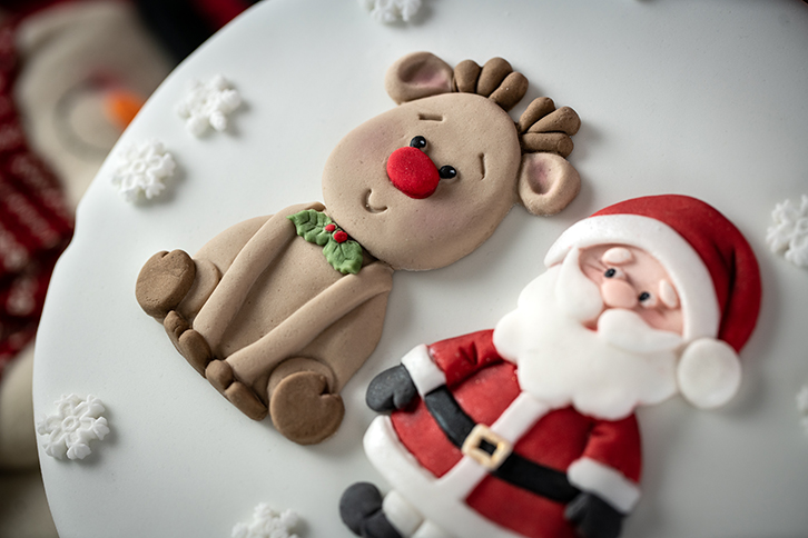 Christmas Cookie Silicone Mould