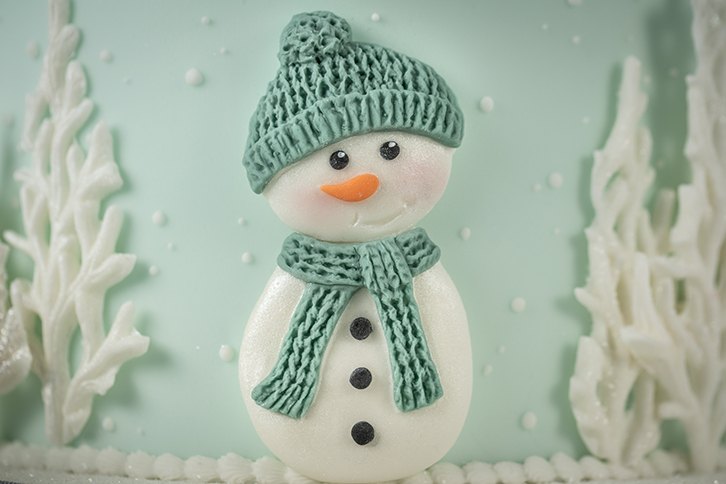 Christmas Cookie Silicone Mould