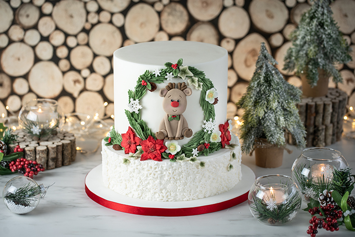 Christmas Cookie Silicone Mould