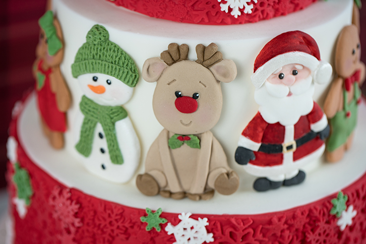 Christmas Cookie Silicone Mould