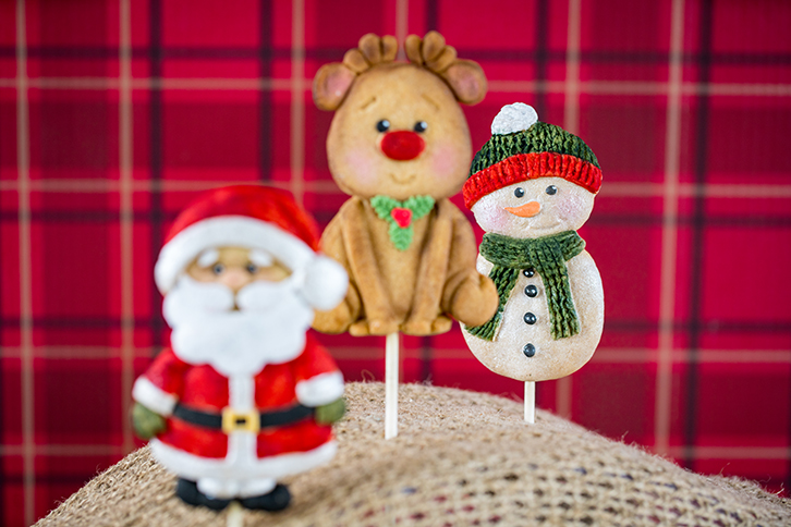 Christmas Cookie Silicone Mould