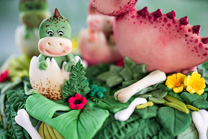 Dinosaur Cookie Silicone Mould