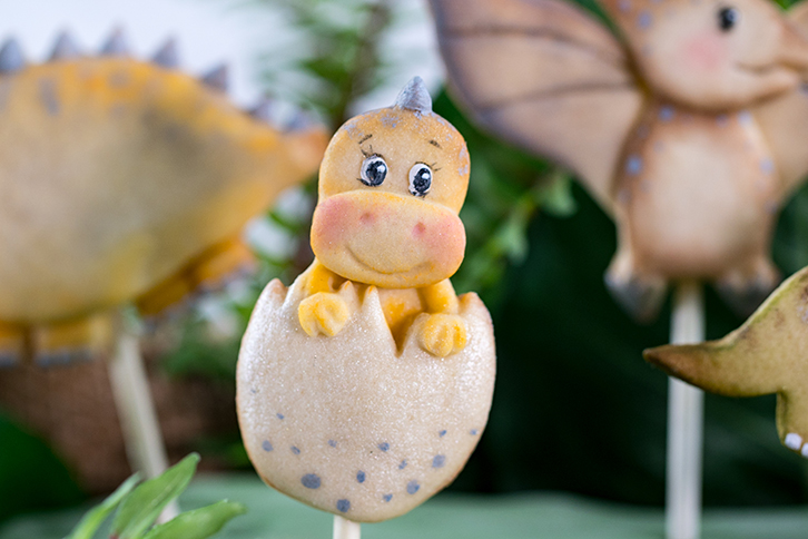 Dinosaur Cookie Silicone Mould
