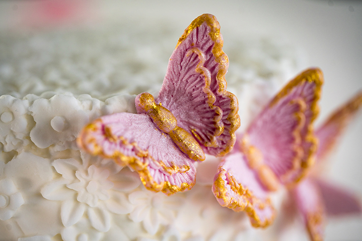 brush embroidery butterflies silicone mould