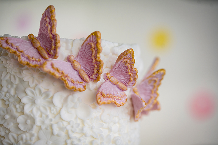 brush embroidery butterflies silicone mould