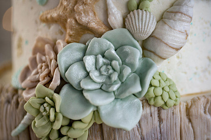 Succulent Silicone Mould