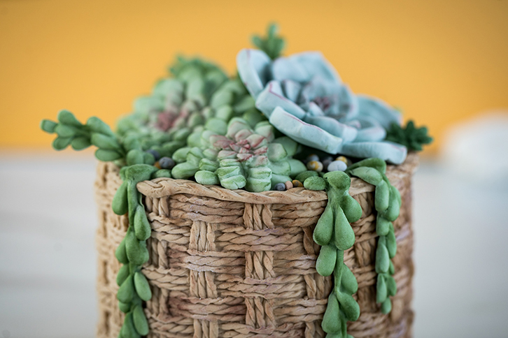 Succulent Silicone Mould