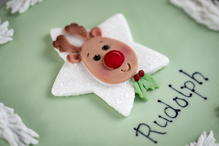 Star Reindeer Silicone Mould