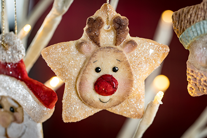 Star Reindeer Silicone Mould