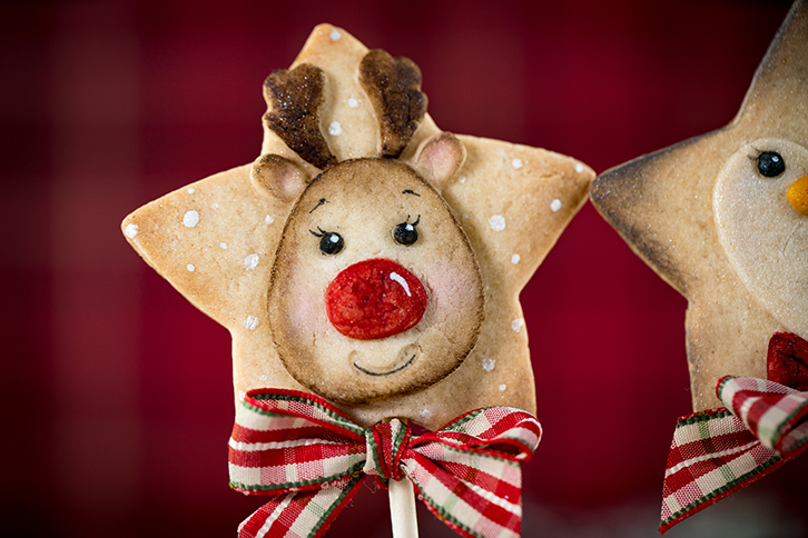 Star Reindeer Silicone Mould