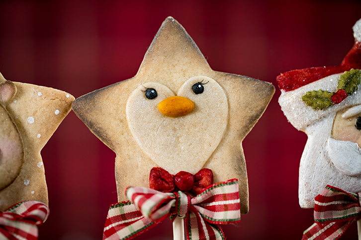 Star Penguin Silicone Mould