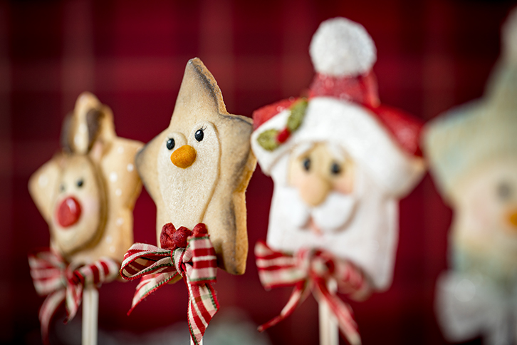 Star Penguin Silicone Mould