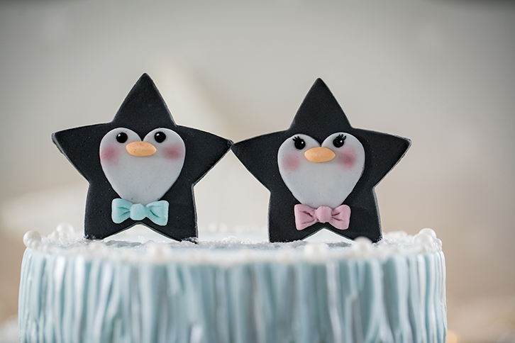 Star Penguin Silicone Mould