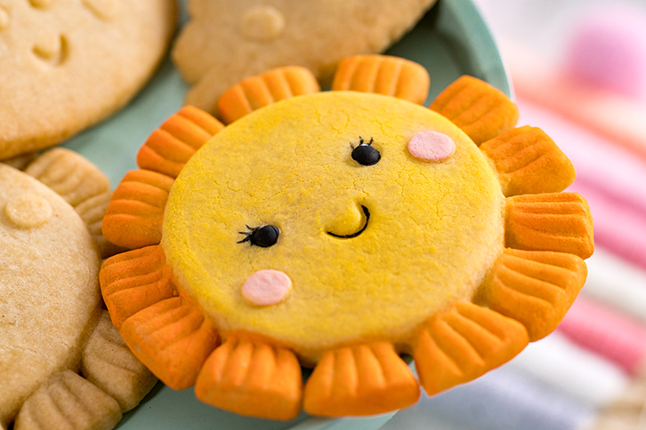 Weather Silicone Mould