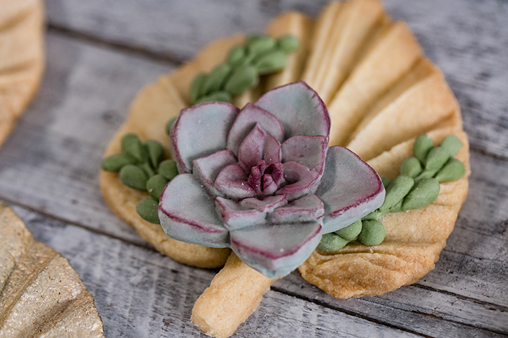 Succulent Silicone Mould