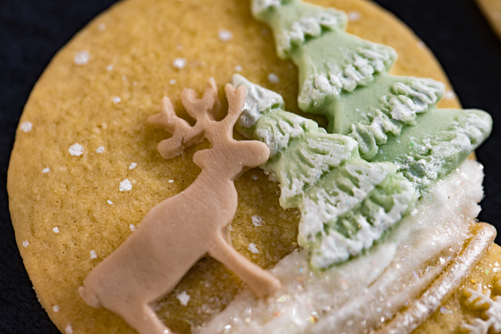 Snowglobe Silicone Mould