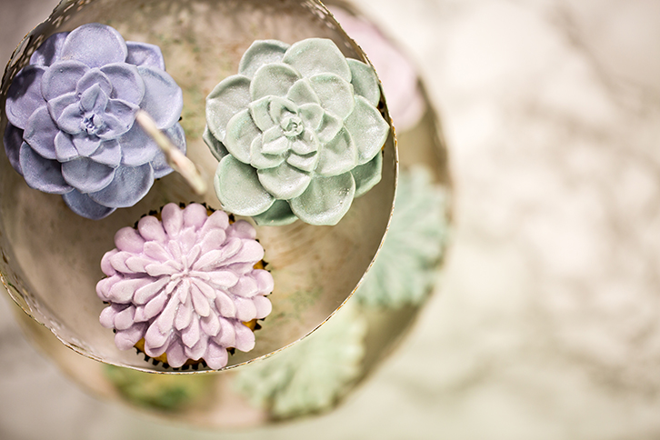 Succulent Silicone Mould