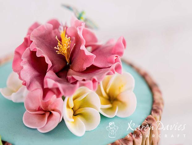 Rainbow Dust Rainbow Dust