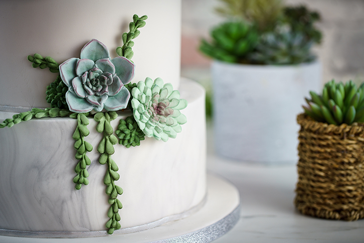 Succulent Silicone Mould