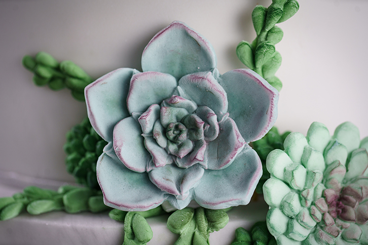 Succulent Silicone Mould