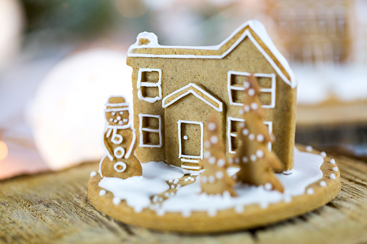 Winter Village Silicone Mould