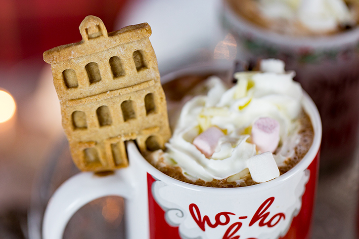 Winter Village Silicone Mould