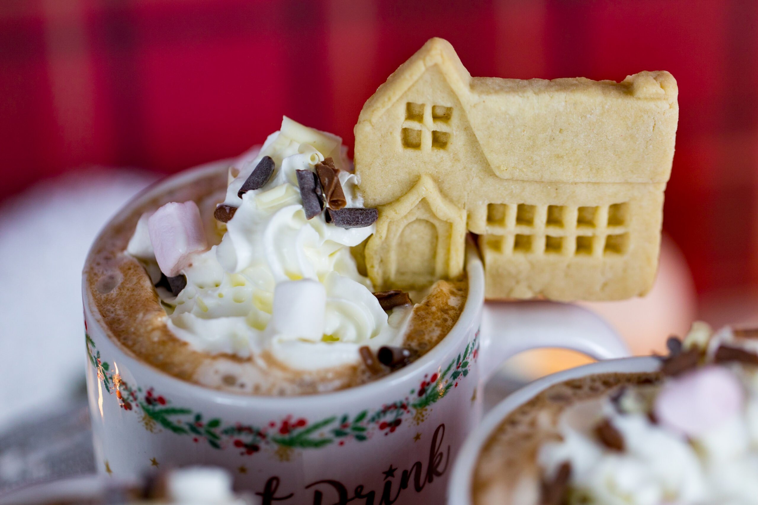 Winter Village Silicone Mould