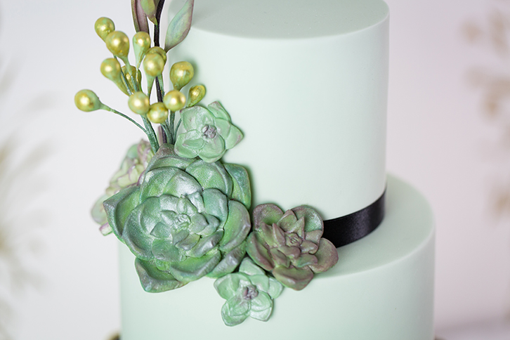 Succulent Silicone Mould