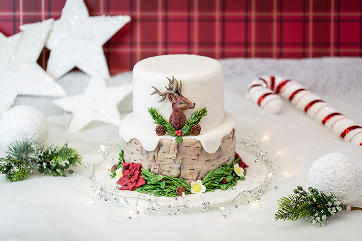 Rustic Birch Silicone Mould