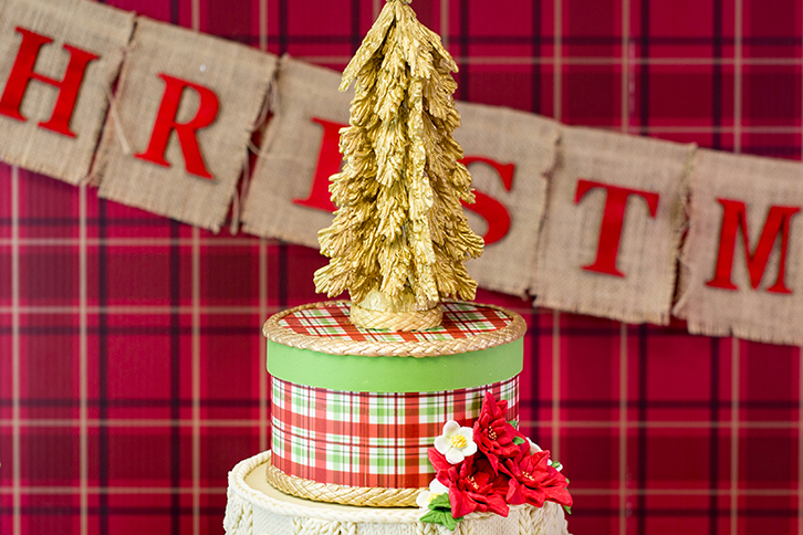 Christmas Tree Silicone Mould