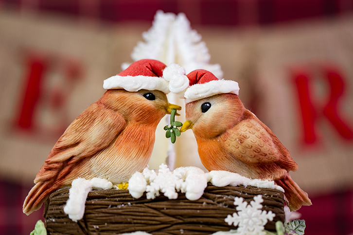 Love Birds Silicone Mould