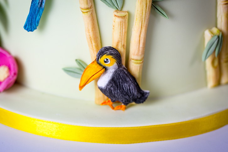 Tropical Fruit Silicone Mould