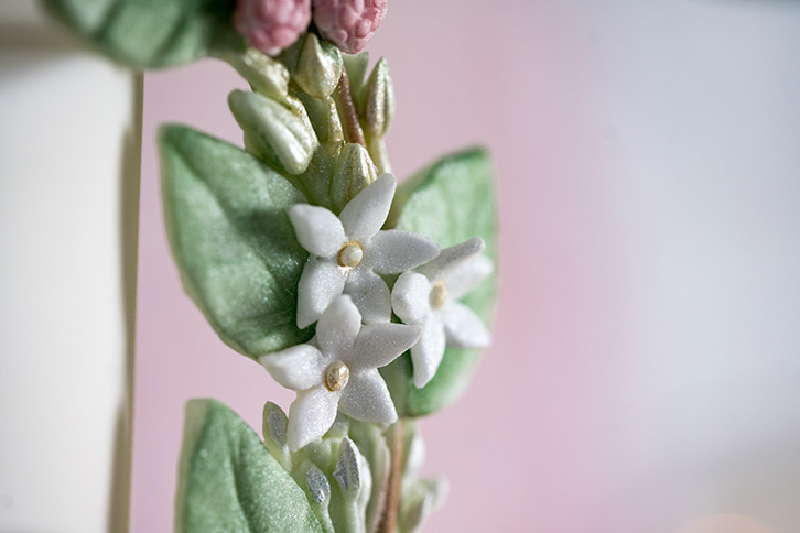 Sugar Twine Silicone Mould