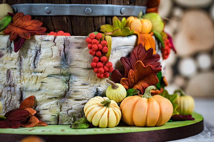 Rustic Birch Silicone Mould