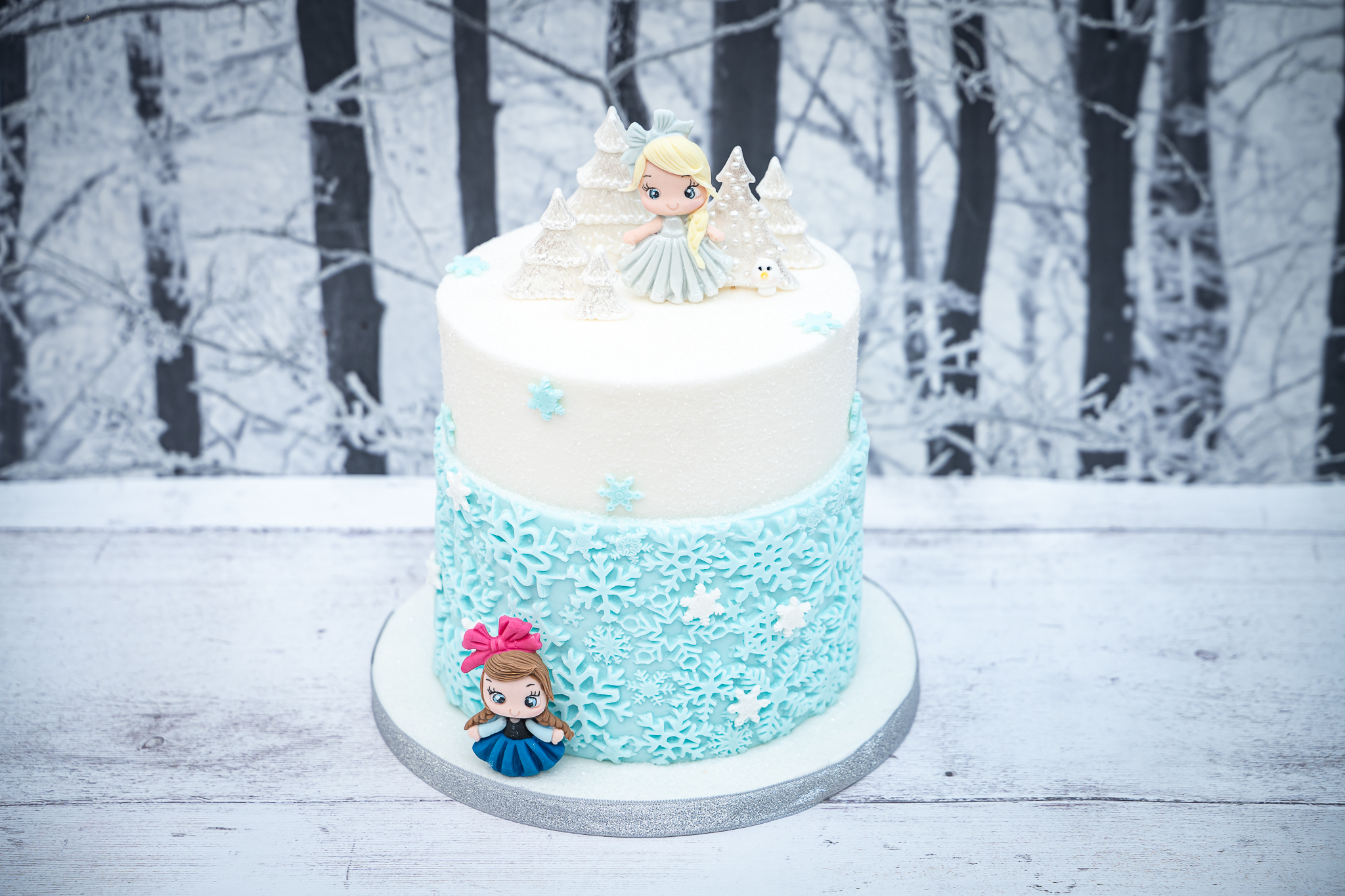 Princesses Silicone Mould