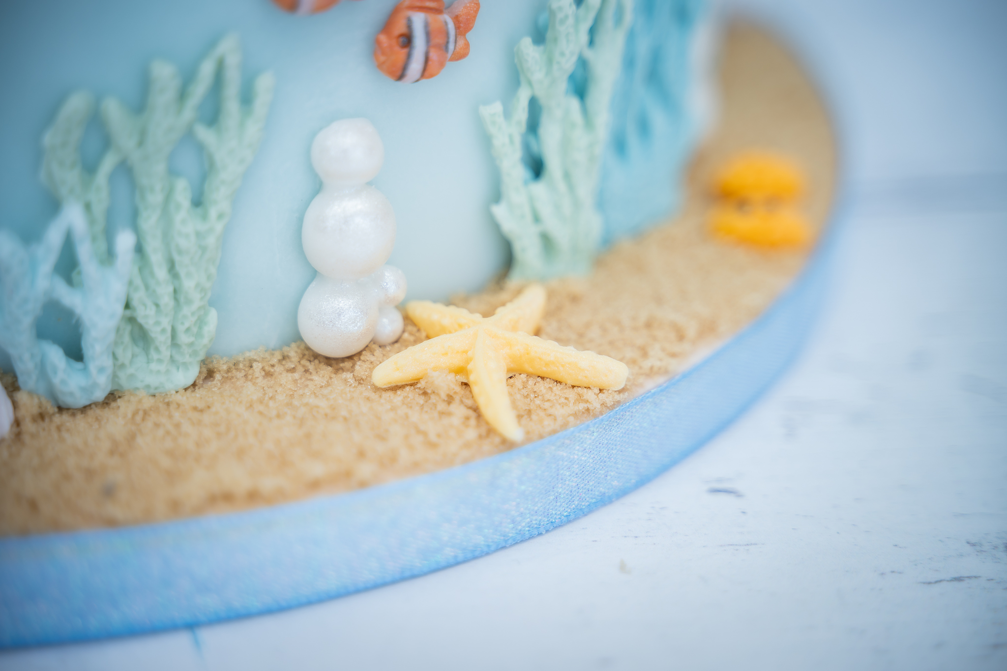 Under The Sea Silicone Mould