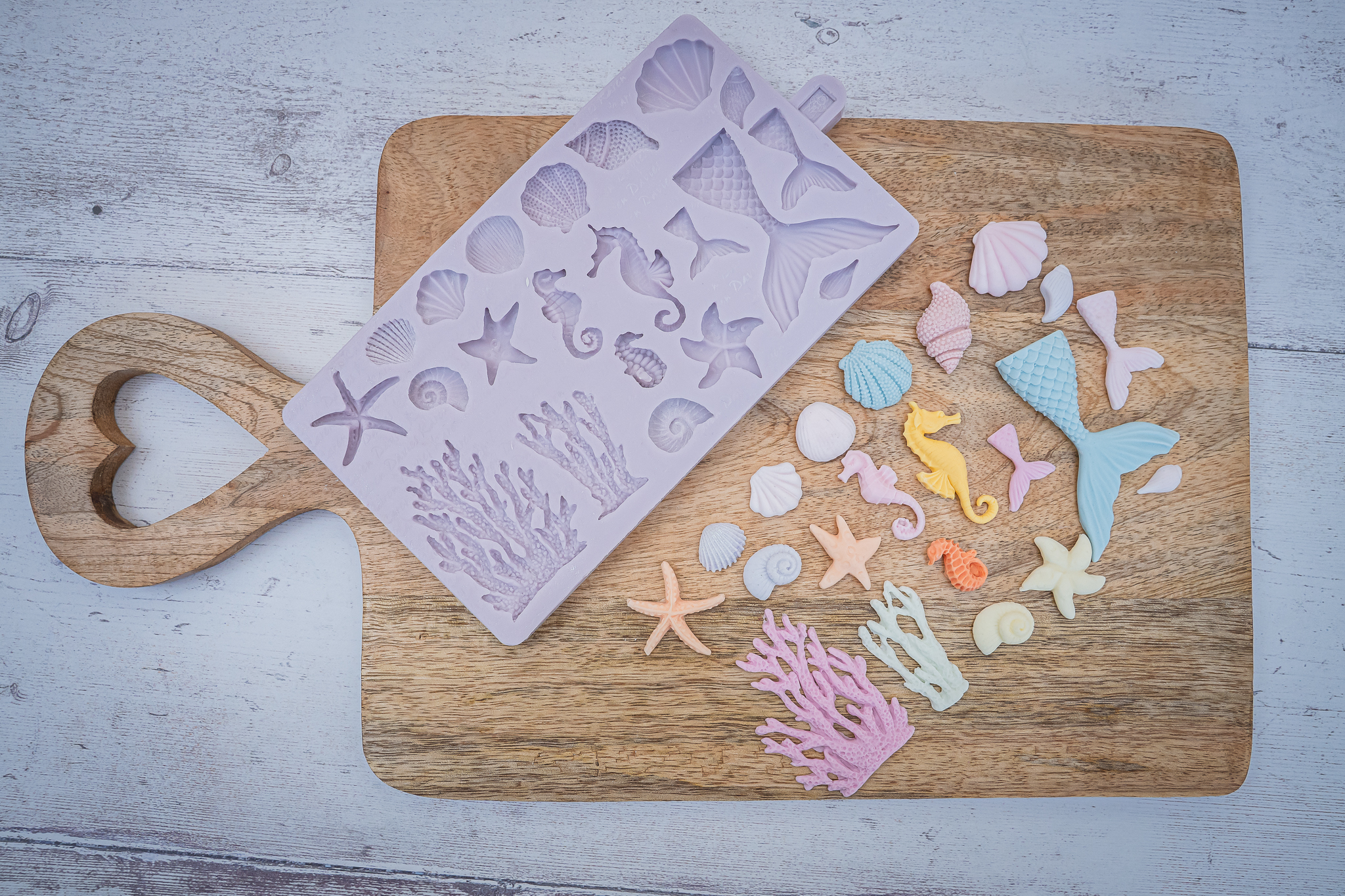 Under The Sea Silicone Mould