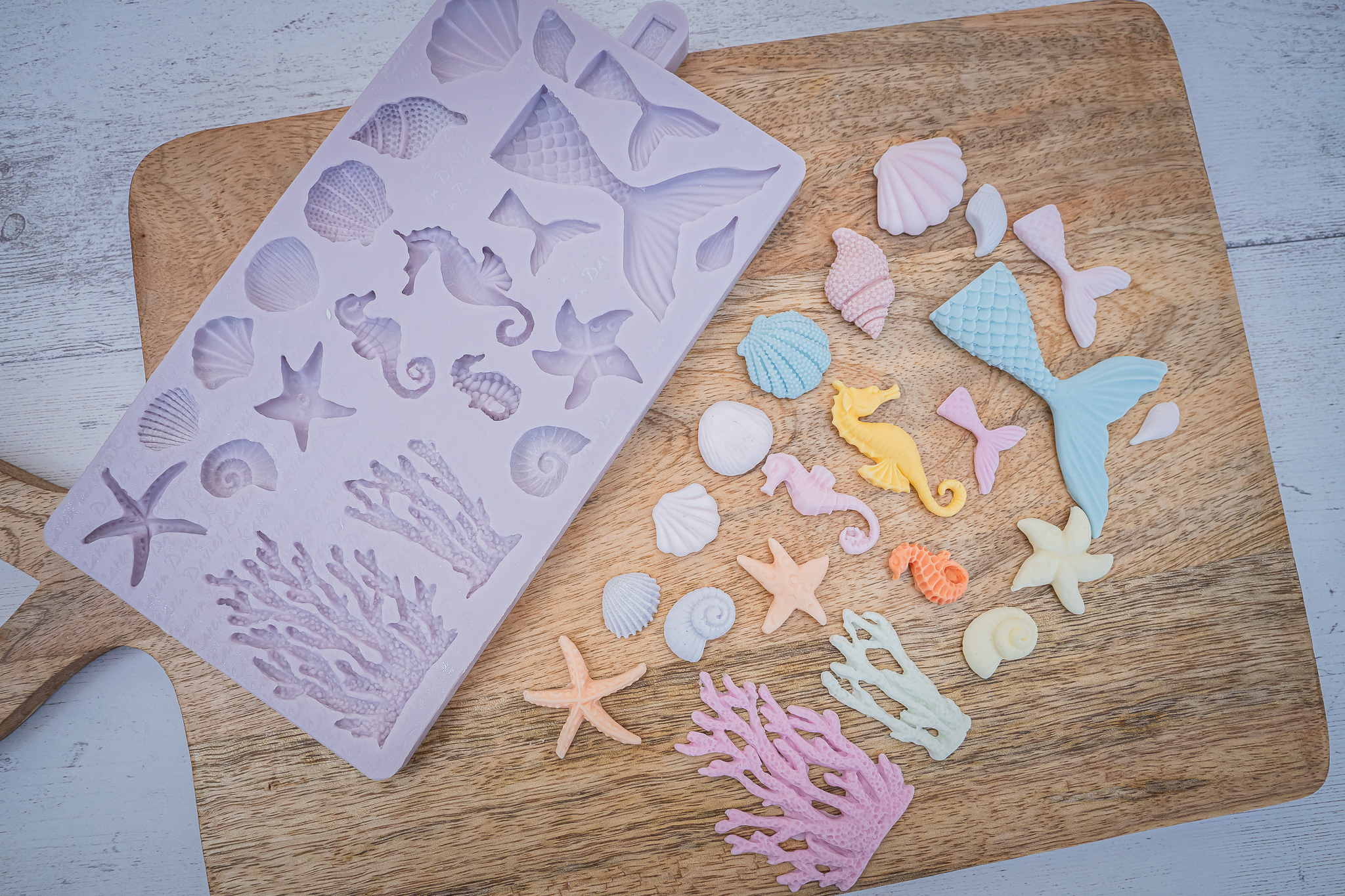 Under The Sea Silicone Mould