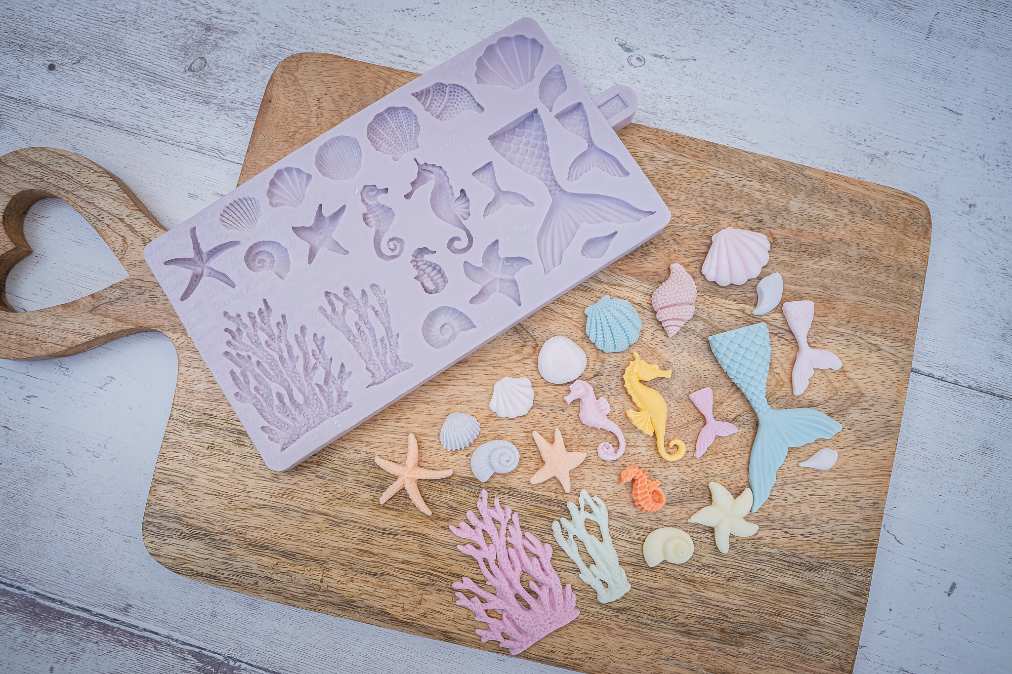 Under The Sea Silicone Mould