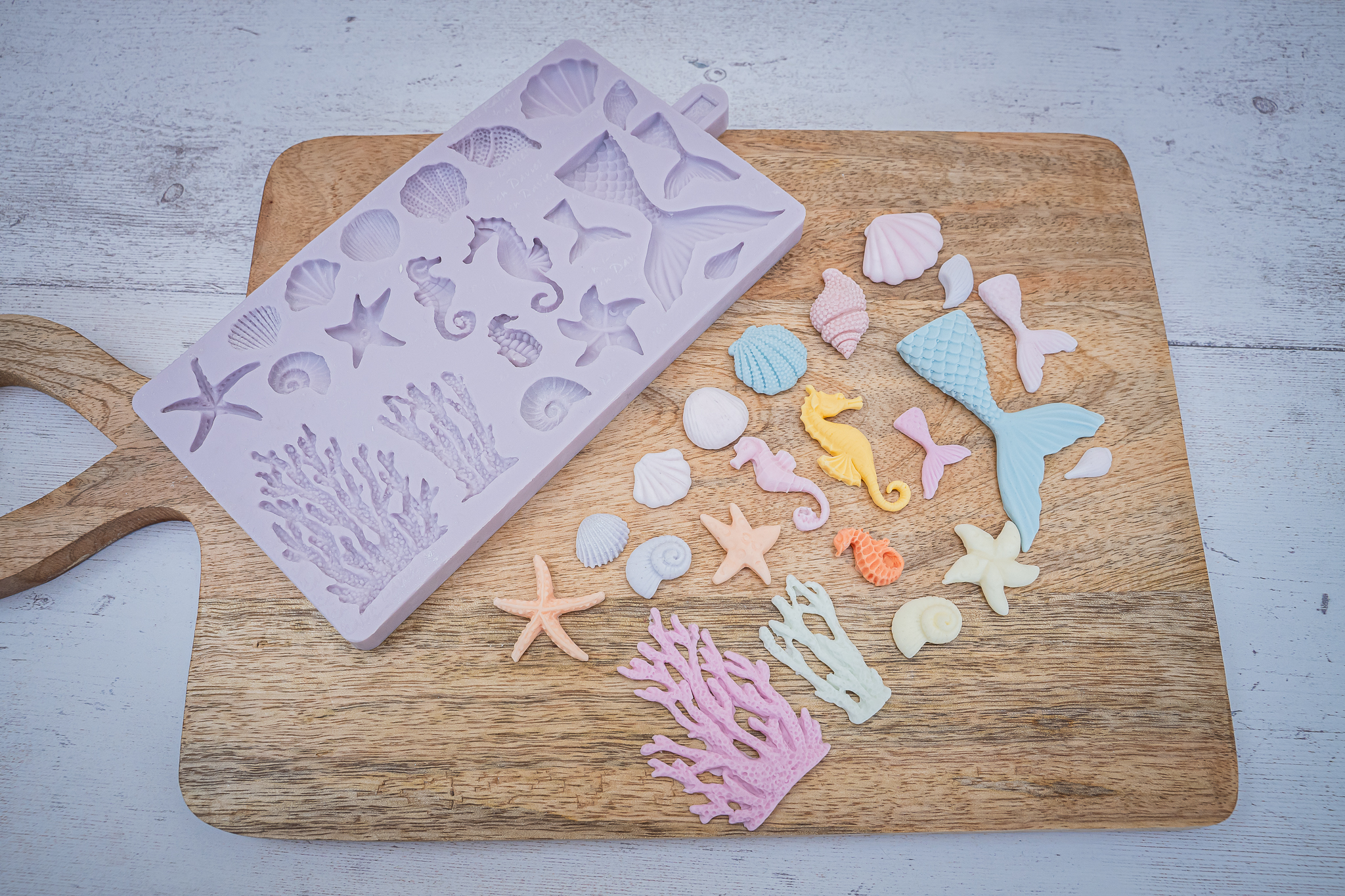 Under The Sea Silicone Mould